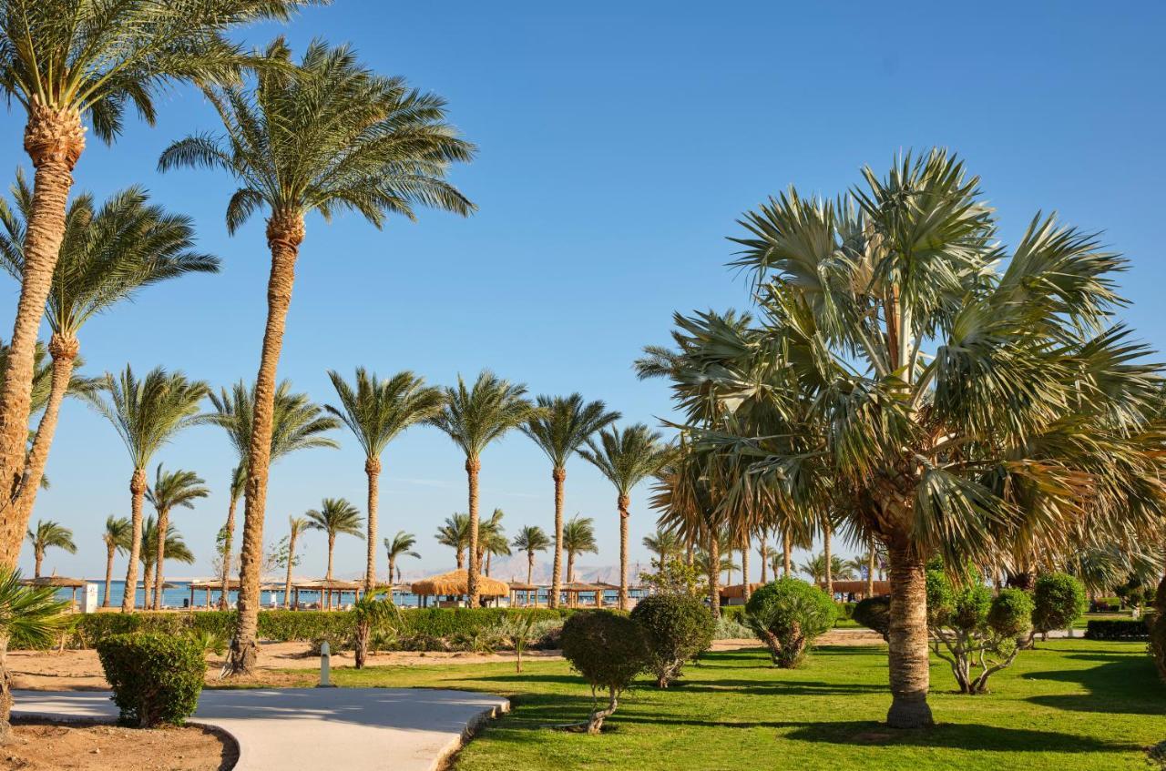 Coral Sea Waterworld Sharm El Sheikh Sharm El Sheikk Exterior foto